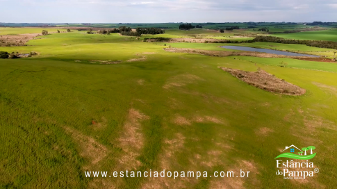 48 HA NO RS.00_01_37_23.Quadro009_14a3ce575dff496cabfb6743796cc6672d9204be.png